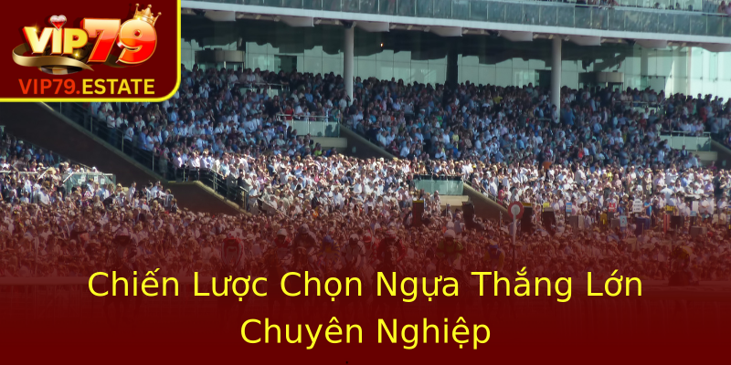 Chiến Lược Chọn Ngựa Thắng Lớn Chuyên Nghiệp Chiến Lược Chọn Ngựa Thắng Lớn Chuyên Nghiệp