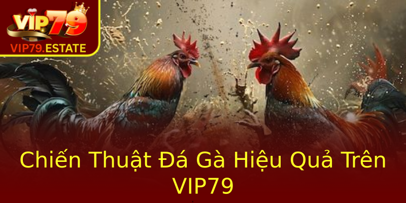 Chiến Thuật Đá Gà Hiệu Quả Trên VIP79 Chiến Thuật Đá Gà Hiệu Quả Trên VIP79