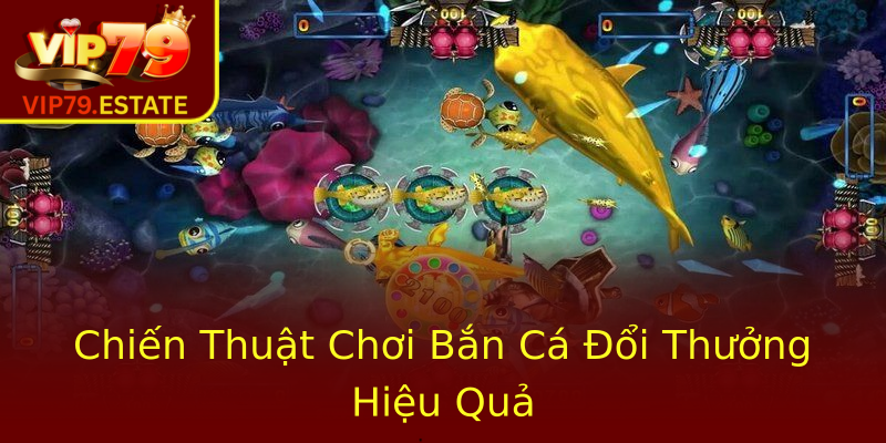 Chiến Thuật Chơi Bắn Cá Đổi Thưởng Hiệu Quả Chiến Thuật Chơi Bắn Cá Đổi Thưởng Hiệu Quả