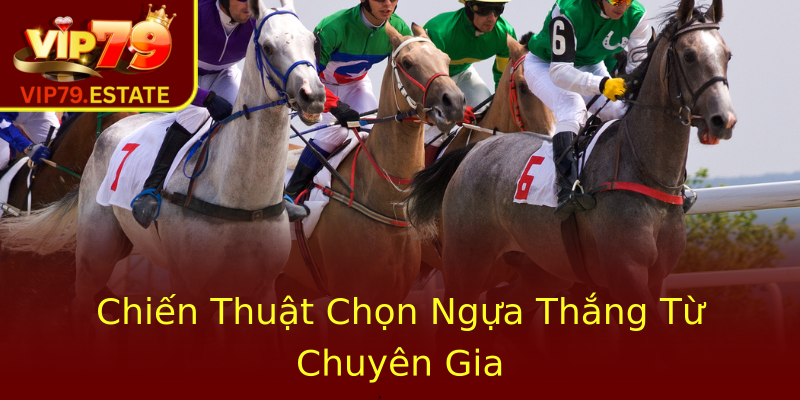 Chiến Thuật Chọn Ngựa Thắng Từ Chuyên Gia Chiến Thuật Chọn Ngựa Thắng Từ Chuyên Gia