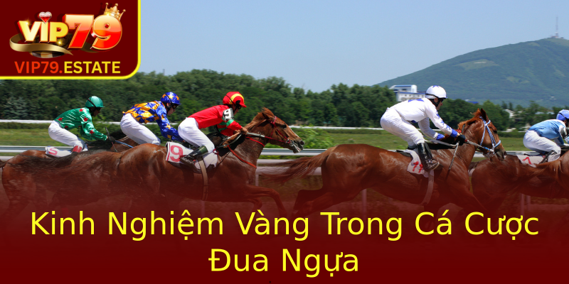 Kinh Nghiệm Vàng Trong Cá Cược Đua Ngựa Kinh Nghiệm Vàng Trong Cá Cược Đua Ngựa