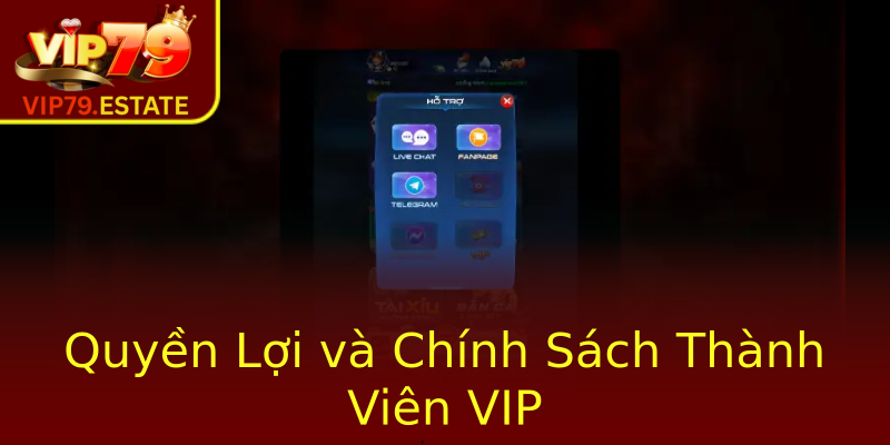 Quyền Lợi và Chính Sách Thành Viên VIP Quyền Lợi và Chính Sách Thành Viên VIP